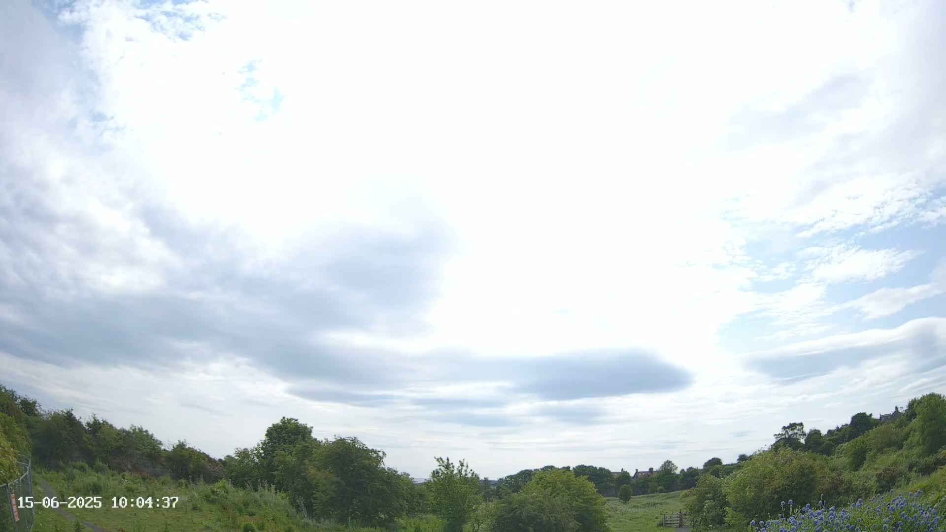 A mostly cloudy sky overlooks a gently sloping grassy field dotted with lush green trees and a few purple flowers in the foreground.