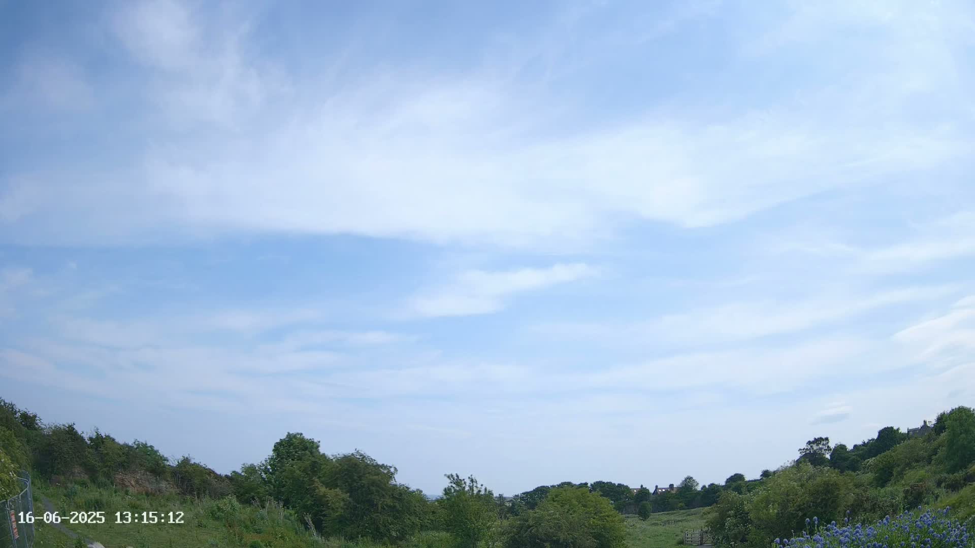 A mostly clear, light-blue sky with thin, wispy clouds is over a gently sloping landscape of green trees and shrubs, with a few purple flowers visible in the foreground.