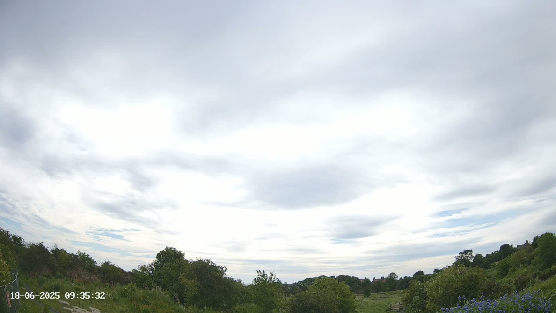 A mostly cloudy sky over a field of green vegetation with some distant buildings.