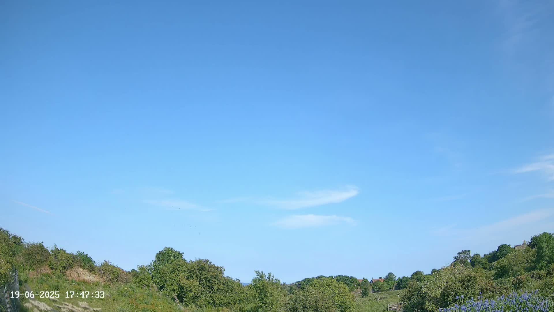 Under a mostly clear, bright blue sky, a gently sloping hillside covered in lush green vegetation extends into the distance, with a few buildings visible in the far background.