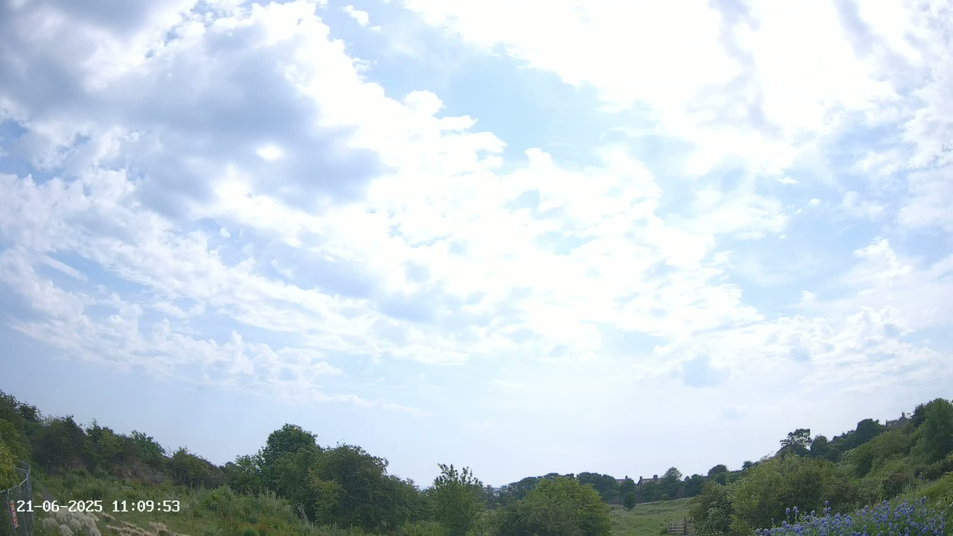 A mostly sunny sky with scattered cumulus clouds overlooks a verdant hillside dotted with trees and shrubs.