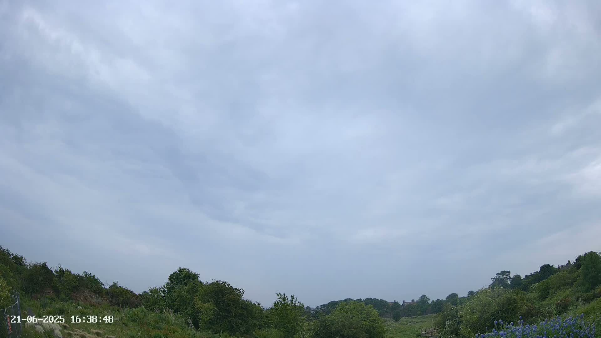 Under a mostly cloudy sky, green vegetation covers a gently sloping hillside leading to a distant line of trees and buildings.