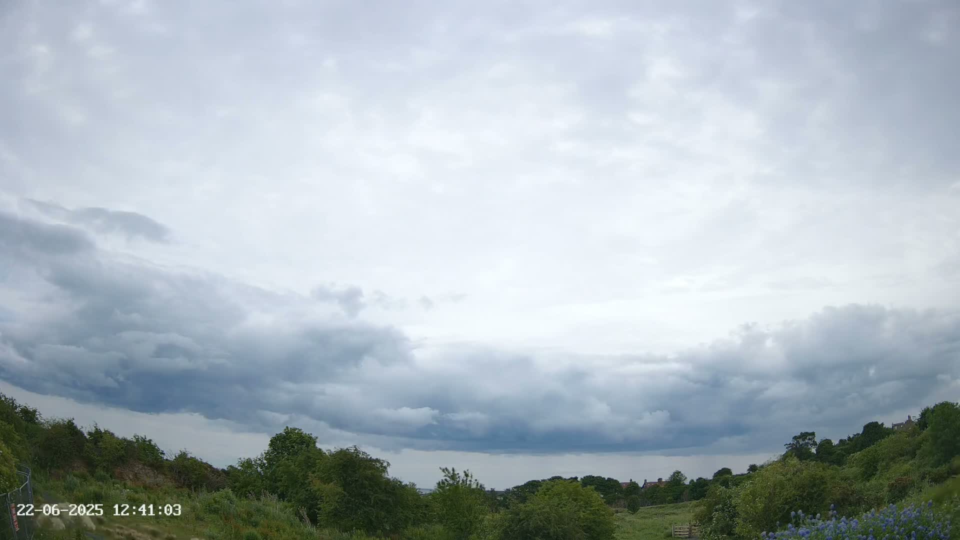 Overcast skies loom over a grassy hillside with lush green vegetation and distant buildings.