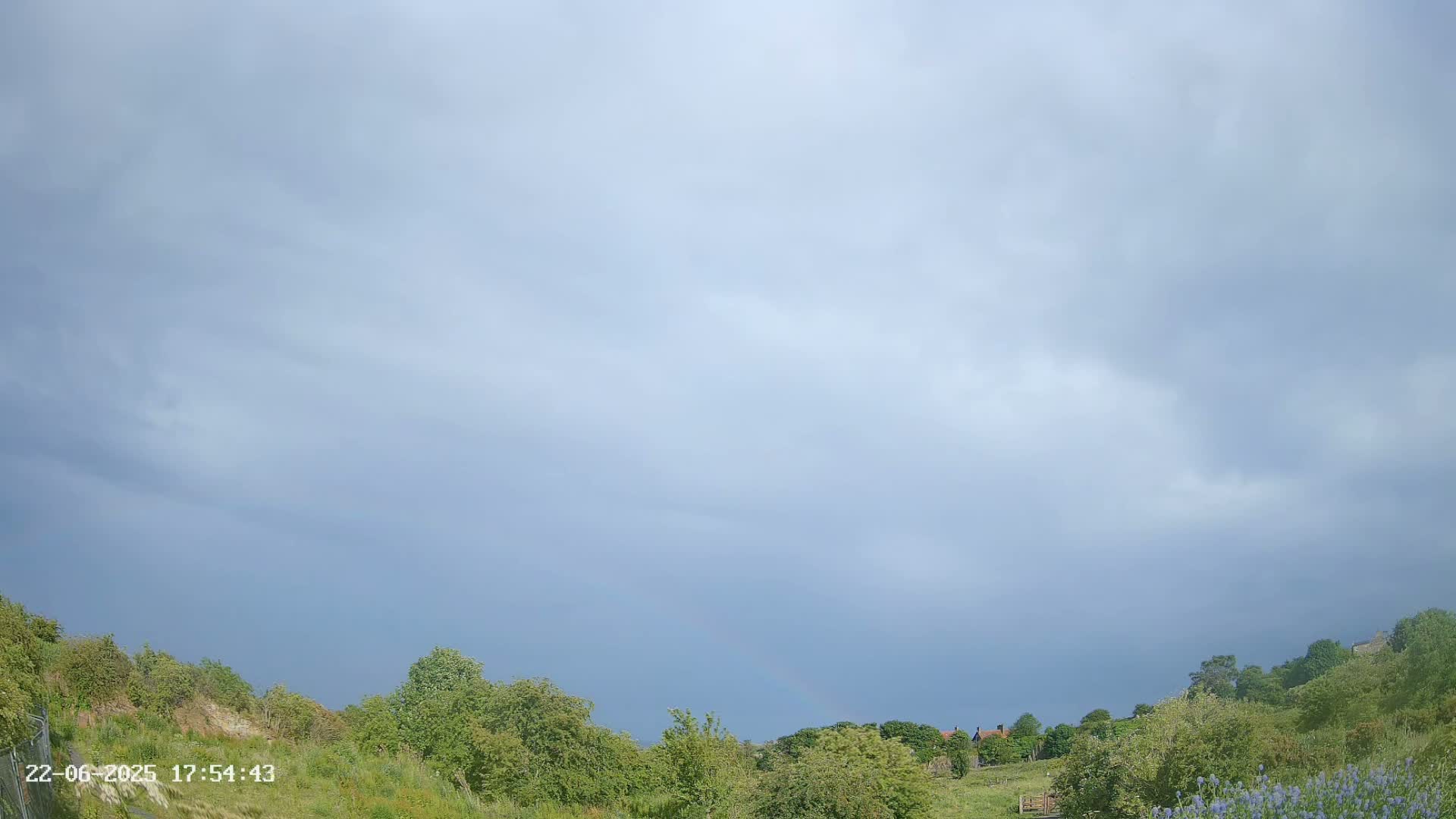 Overgrown fields and trees are visible beneath an overcast sky.