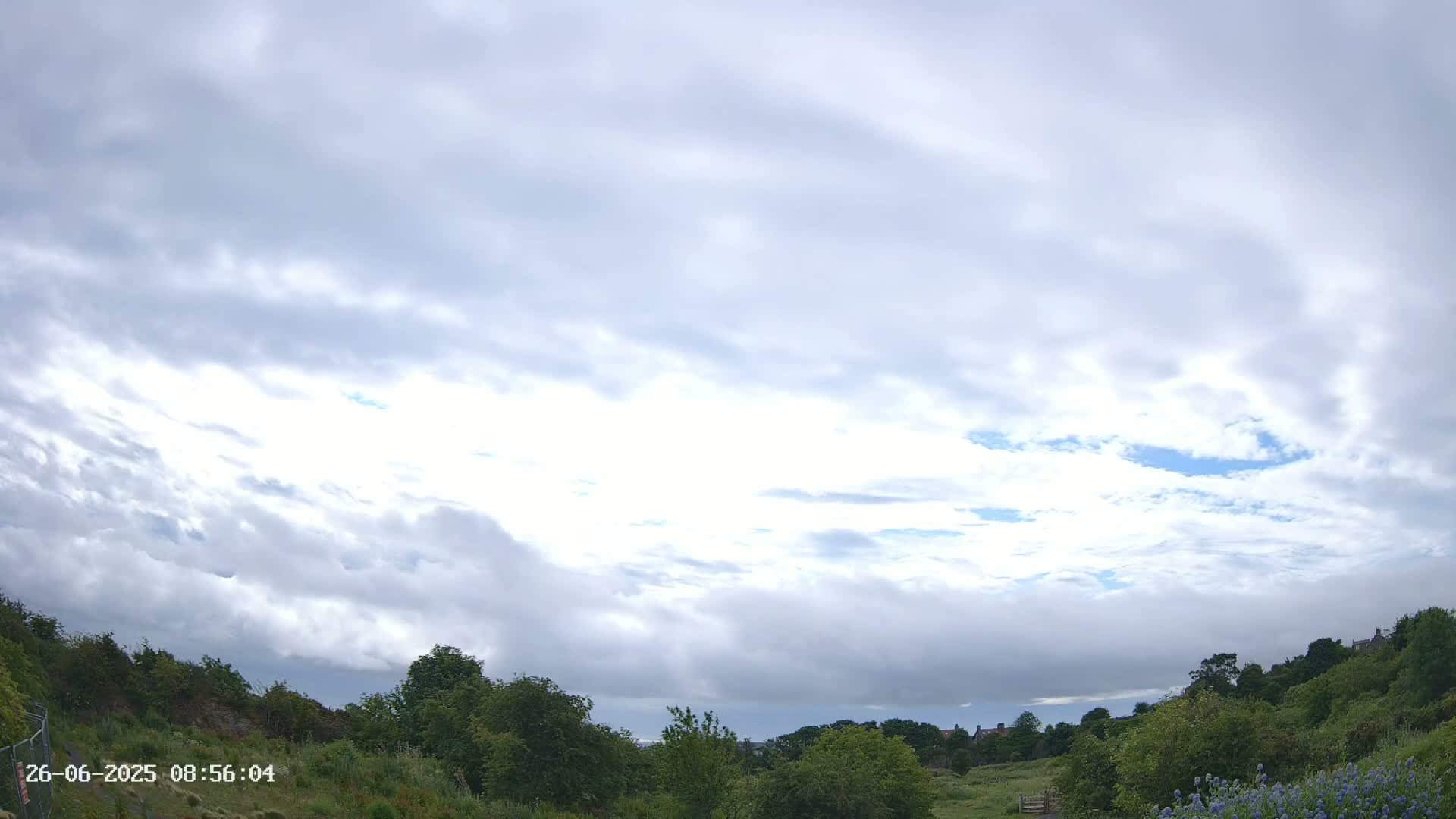 A mostly cloudy sky over a field of green vegetation and trees.