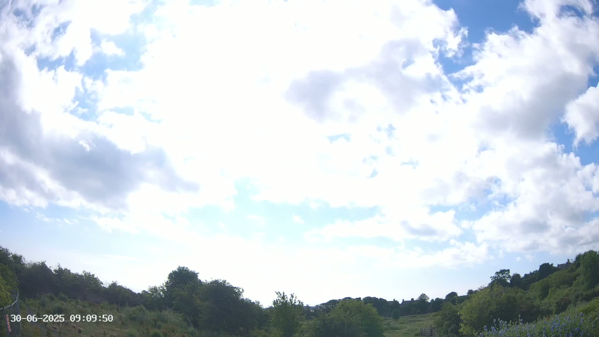 A partly cloudy sky over a field of green vegetation.