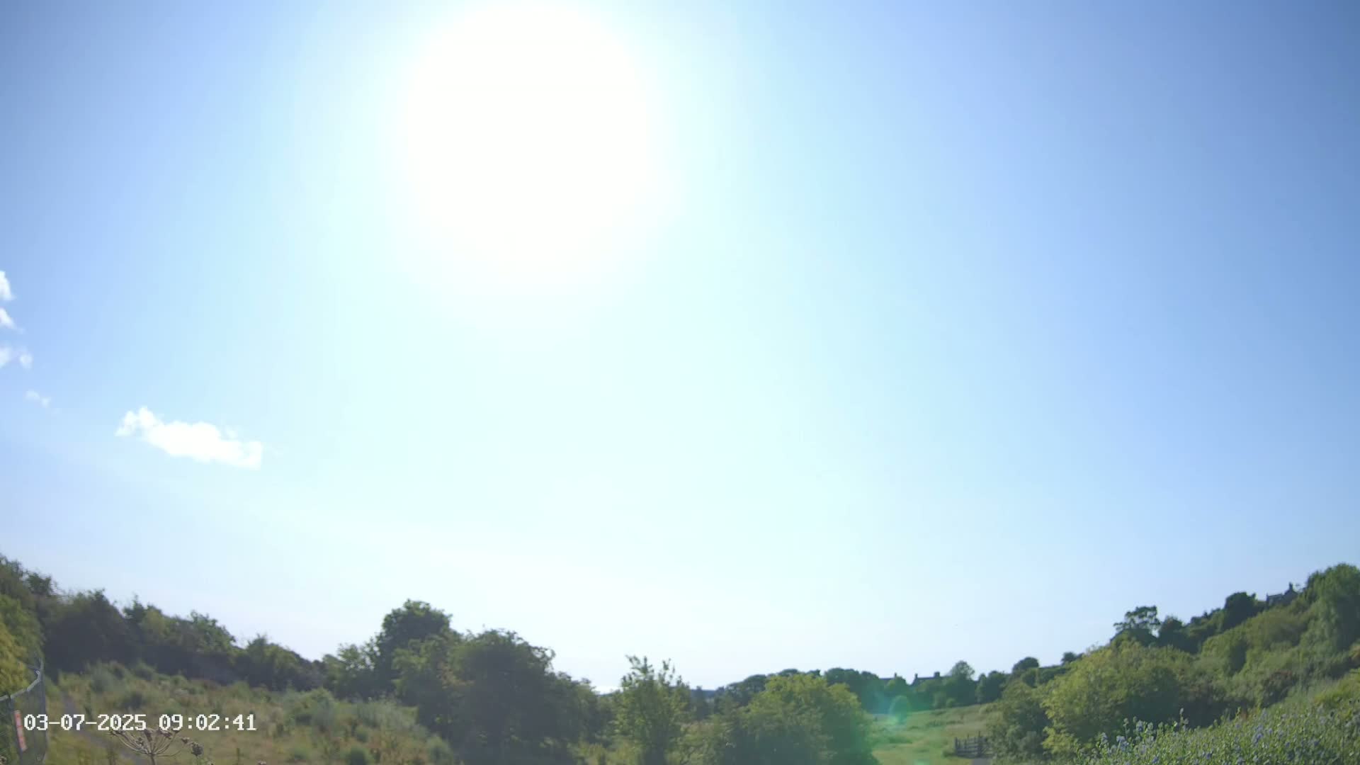 A bright sunny day reveals a gently sloping grassy field bordered by lush green trees and shrubs.