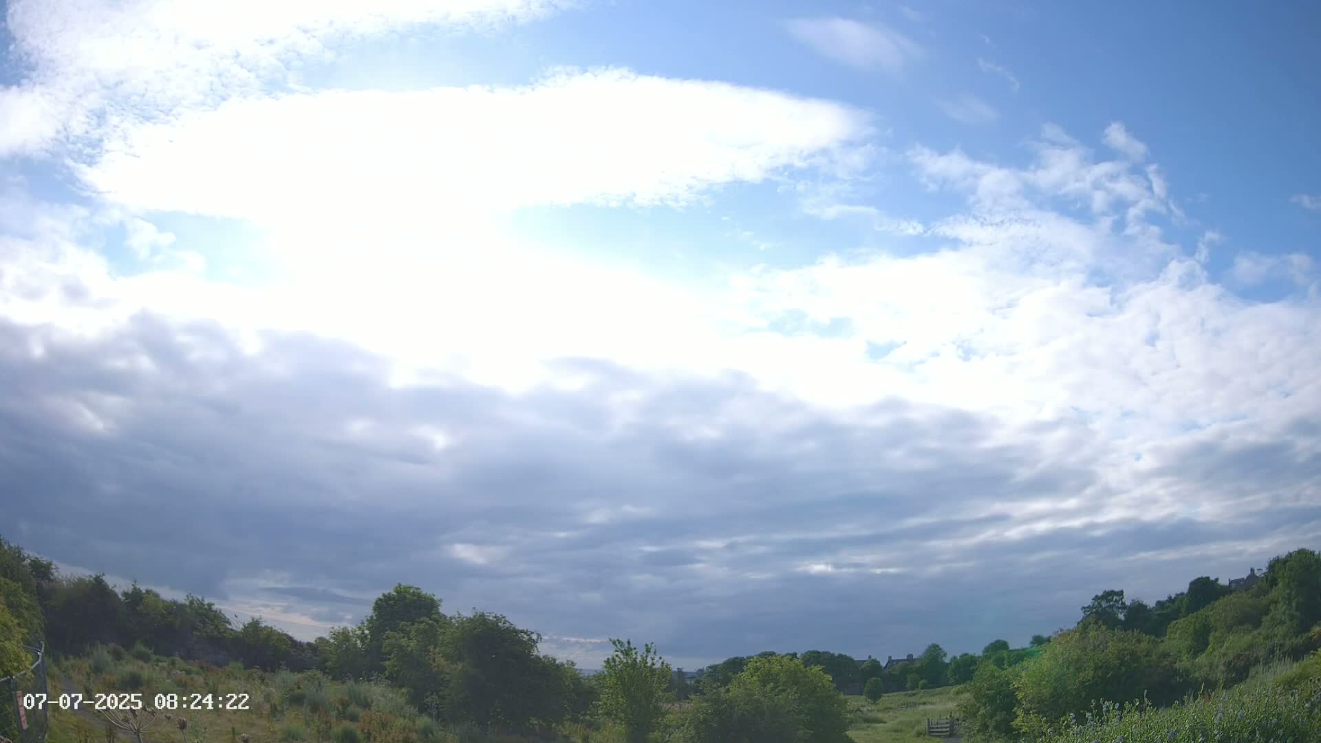 A partly cloudy sky brightens over a landscape of green shrubs and trees.