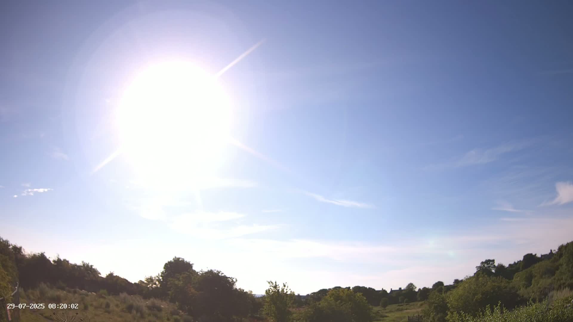A bright sun shines in a mostly clear blue sky over a low-lying expanse of green vegetation.