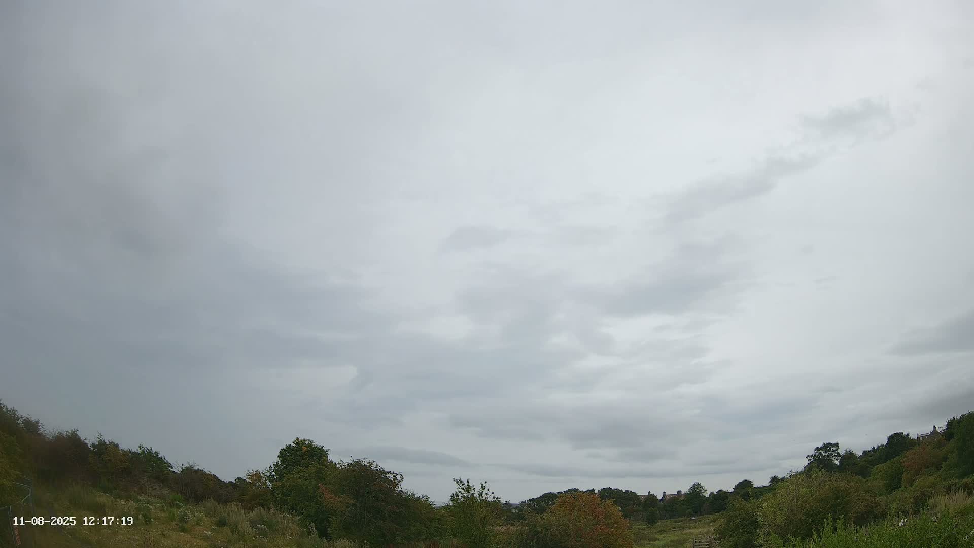 Northumberland National Park Stars & Meteor Live Cam - Otterburn, Northumberland, North East, England, United Kingdom