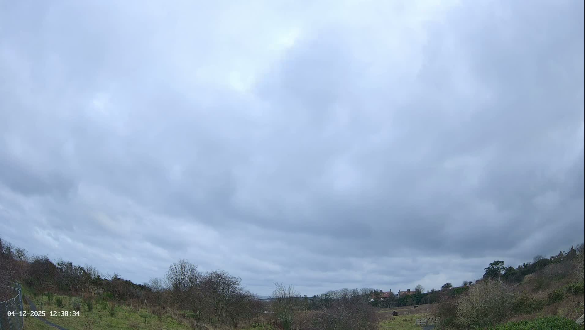 Northumberland National Park Stars & Meteor Live Cam - Otterburn, Northumberland, North East, England, United Kingdom