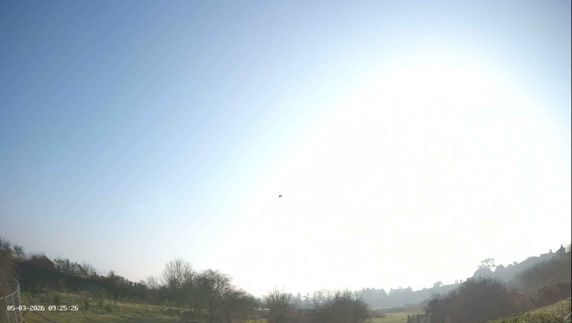 Northumberland National Park Stars & Meteor Live Cam - Otterburn, Northumberland, North East, England, United Kingdom
