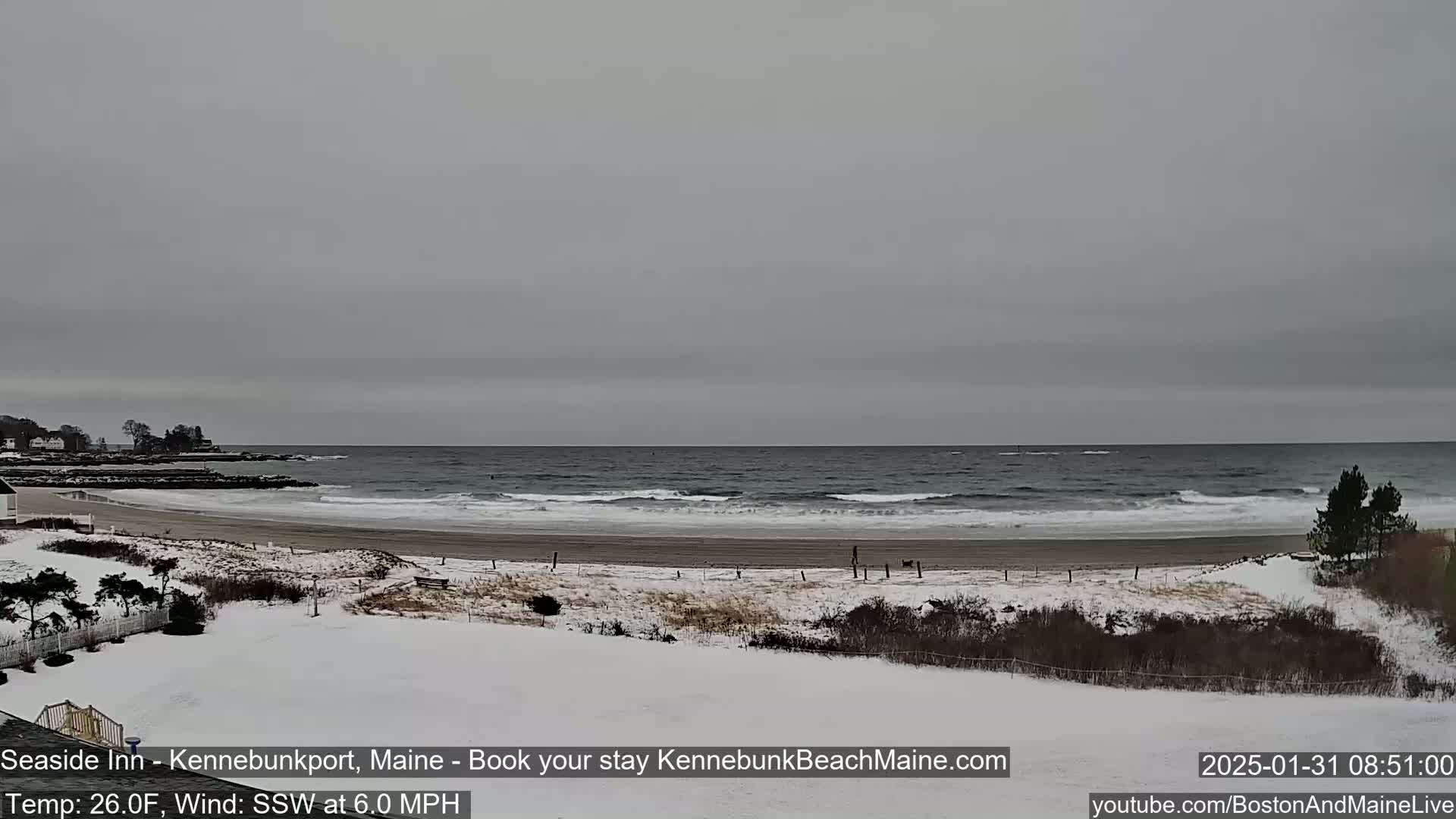 A snow-covered beach with a grey, overcast sky and gentle waves rolling onto the shore.