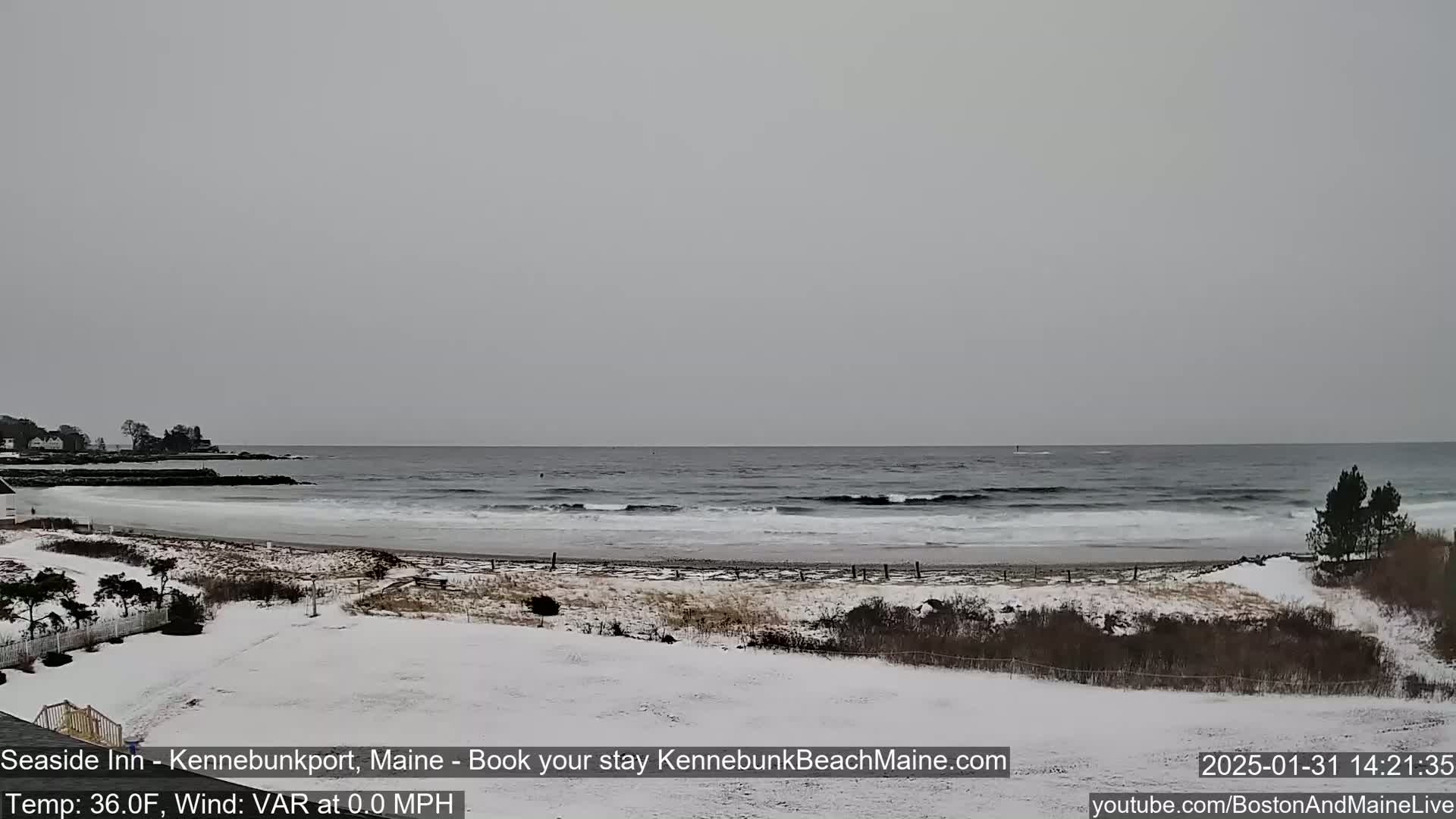 A snow-covered beach with a gray, overcast sky and small waves rolling onto the shore.