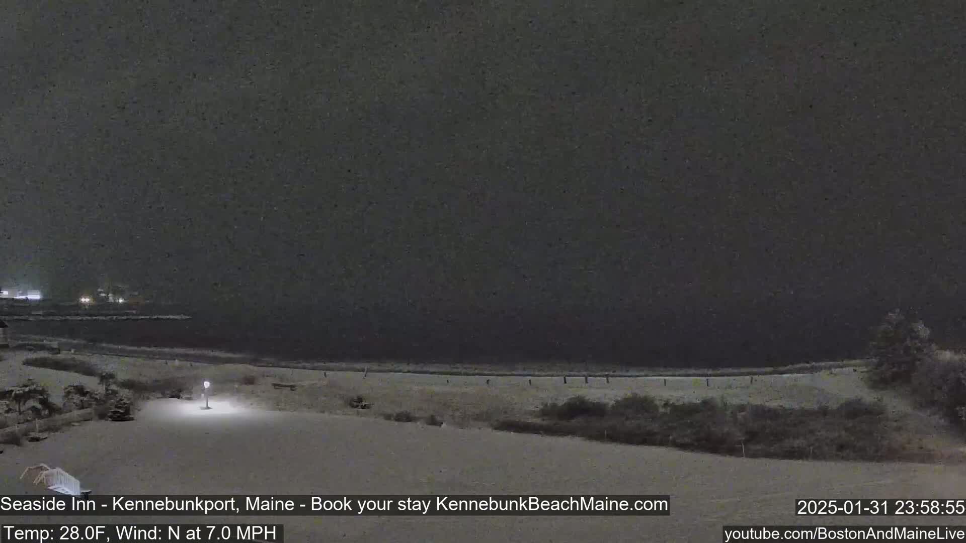 A snow-covered beach and shoreline are visible at night during a snowfall.