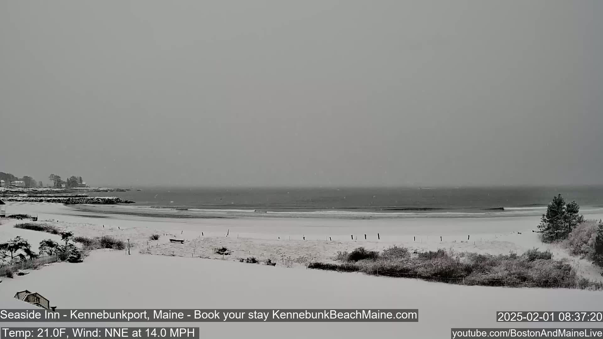 A snow-covered beach and coastline are visible under a gray, snowy sky.