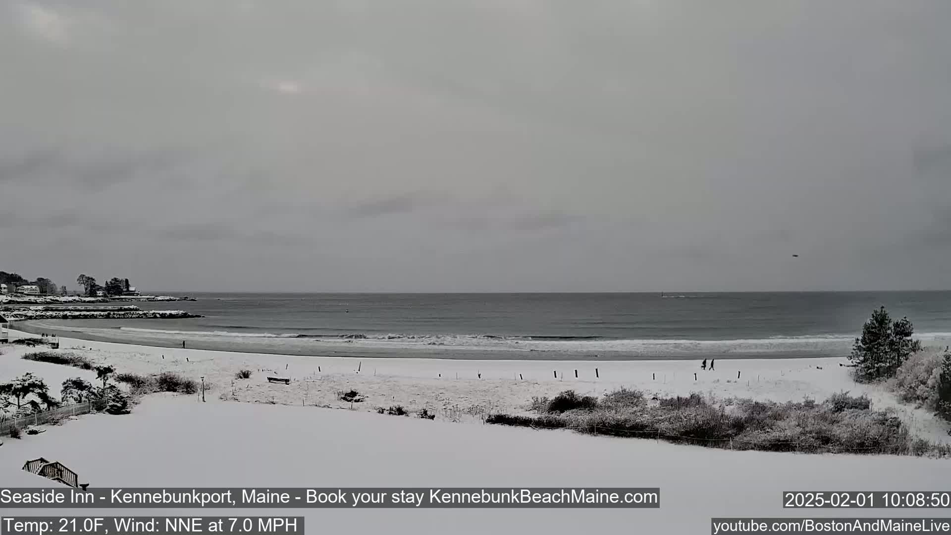 A snow-covered beach and shoreline are visible under an overcast sky.