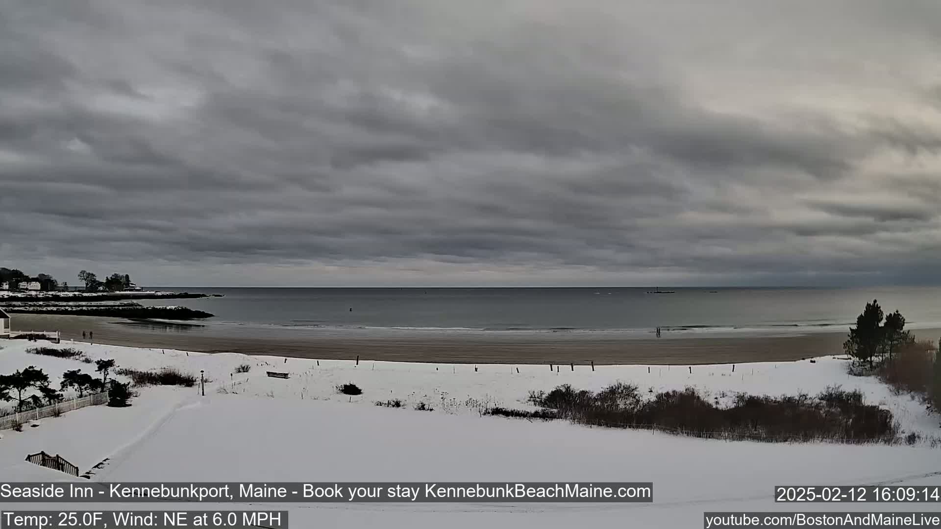 A snow-covered beach and shoreline are visible under a gray, overcast sky.