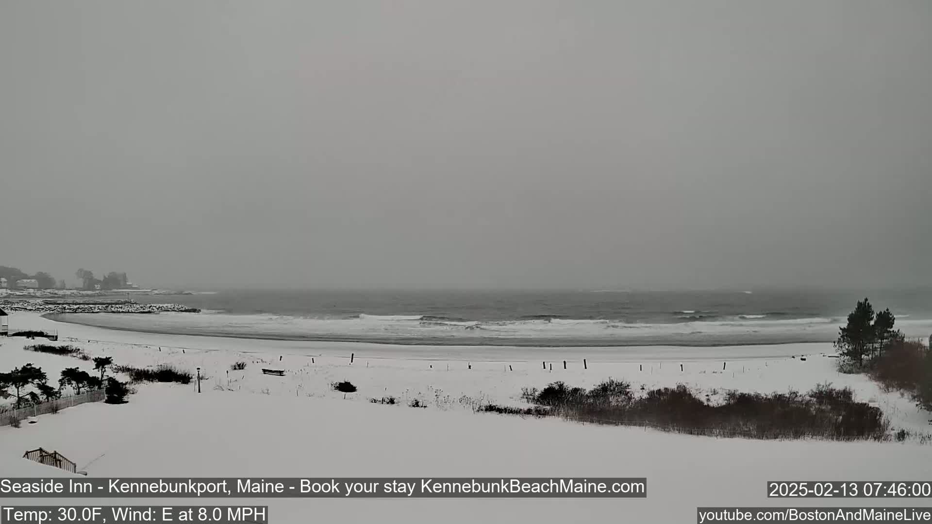 A snow-covered beach with a gray, overcast sky and small waves rolling onto the shore.