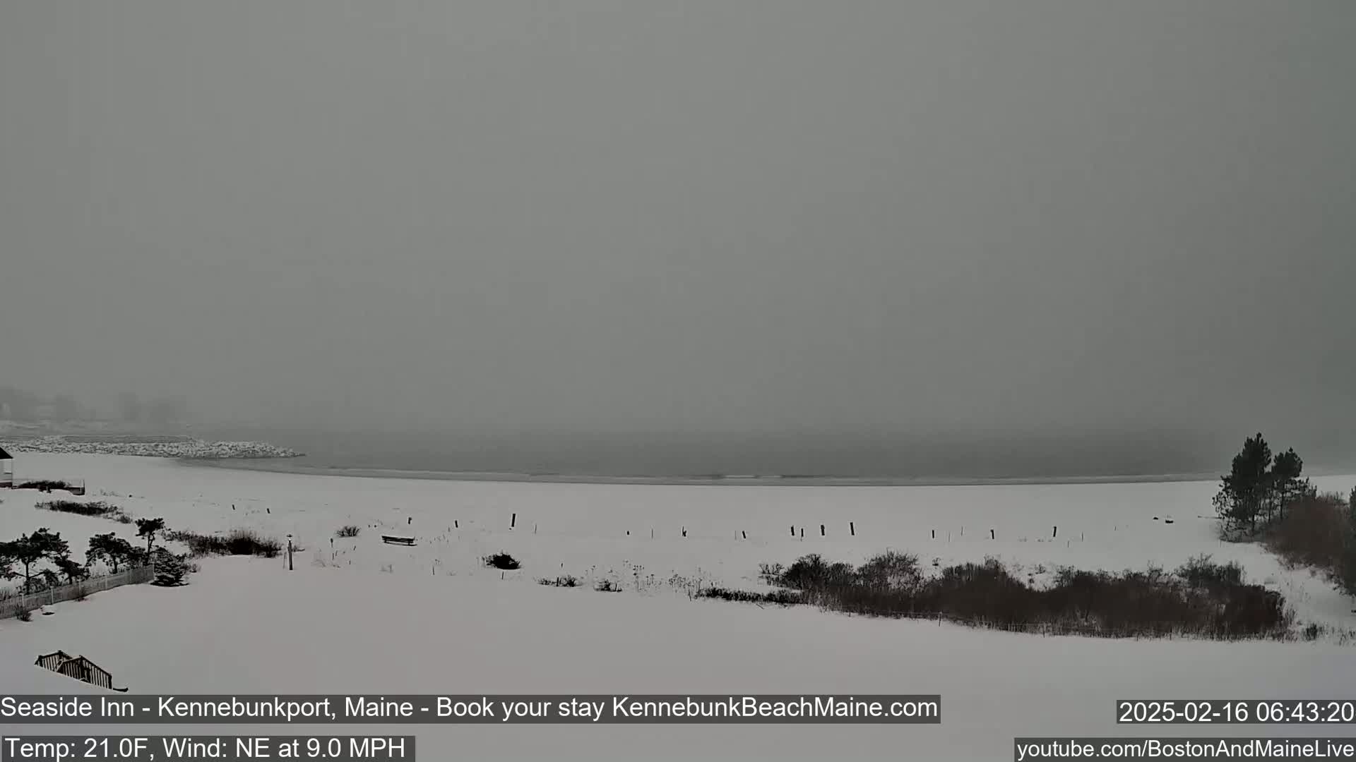 A snow-covered beach and shoreline are visible under an overcast sky, with a northeast wind blowing at 9.0 mph and a temperature of 21 degrees Fahrenheit.
