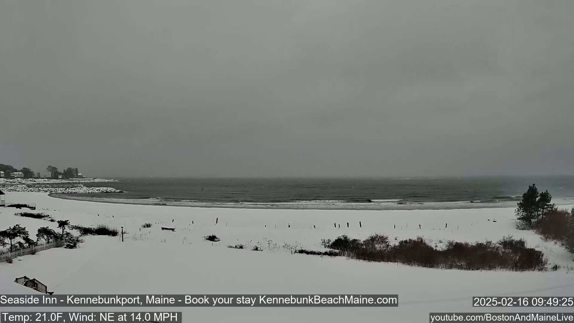 A snow-covered beach stretches to a gray, choppy ocean under an overcast sky.