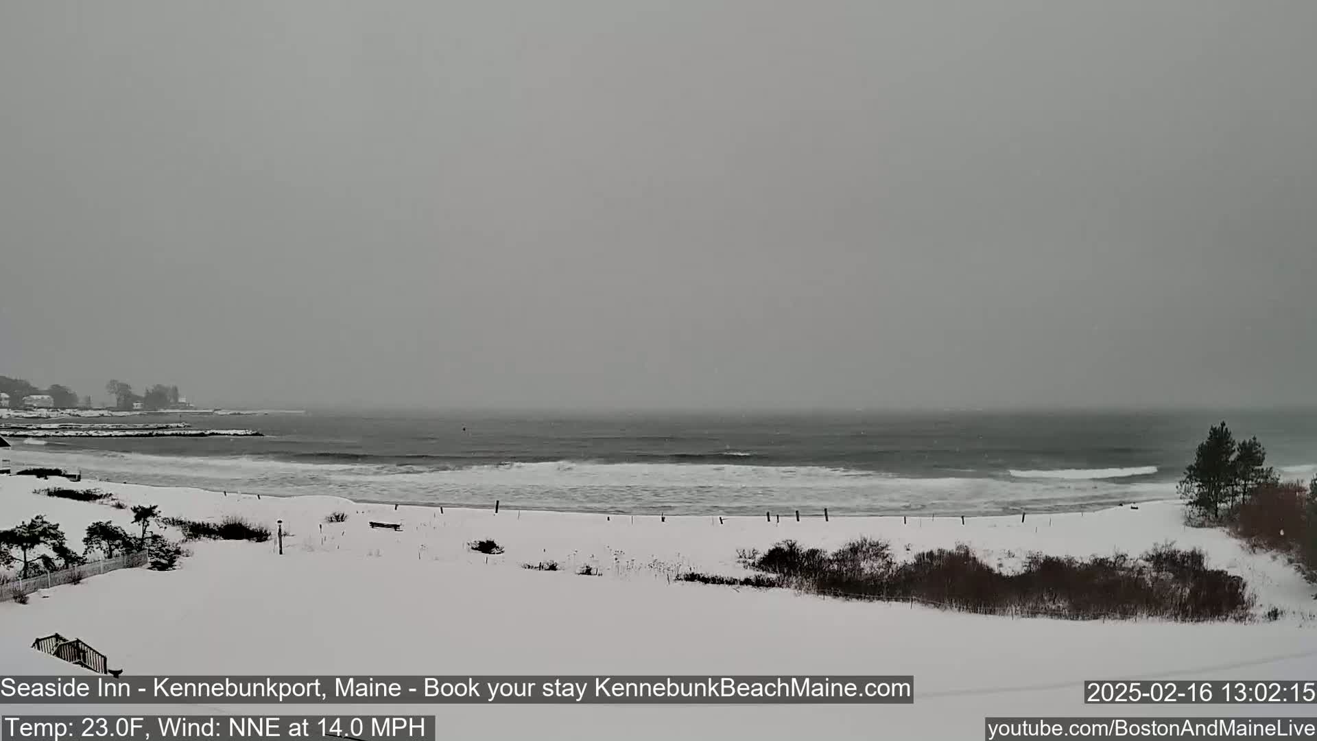 A snow-covered beach with a gray, overcast sky and choppy waves is visible, with a small town in the distance.