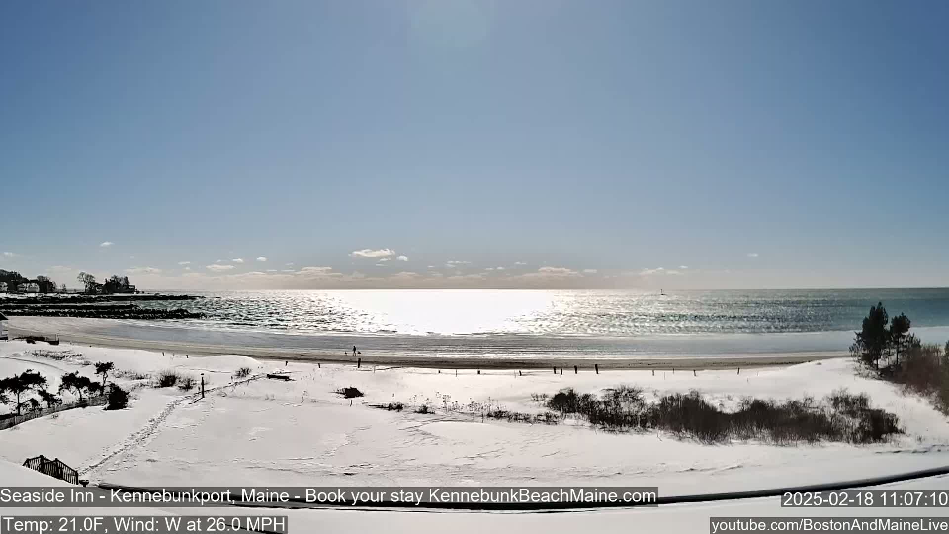A snow-covered beach with a calm, sunlit ocean stretches to the horizon under a clear blue sky.