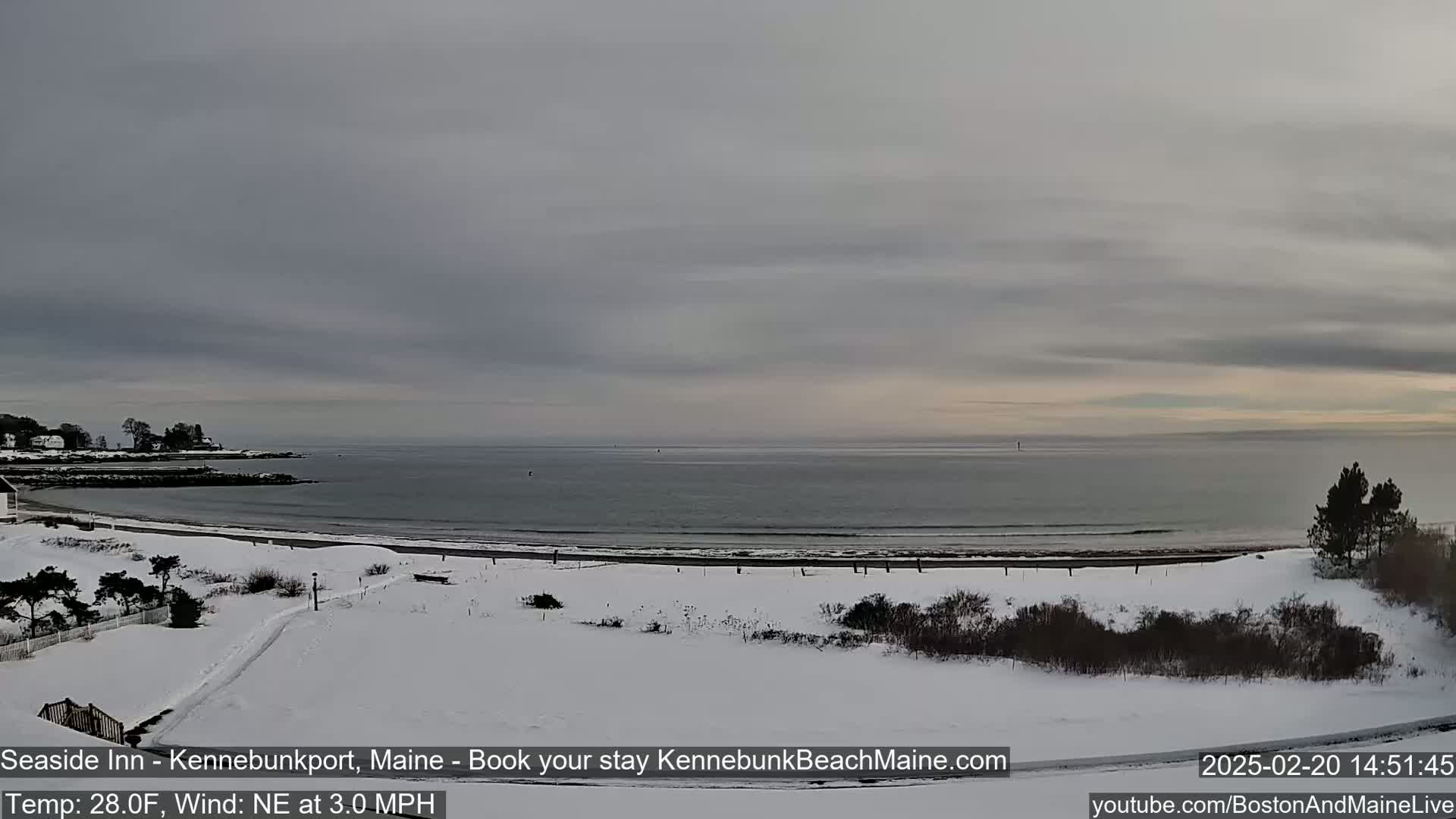 A snow-covered beach and coastline are visible under an overcast sky.