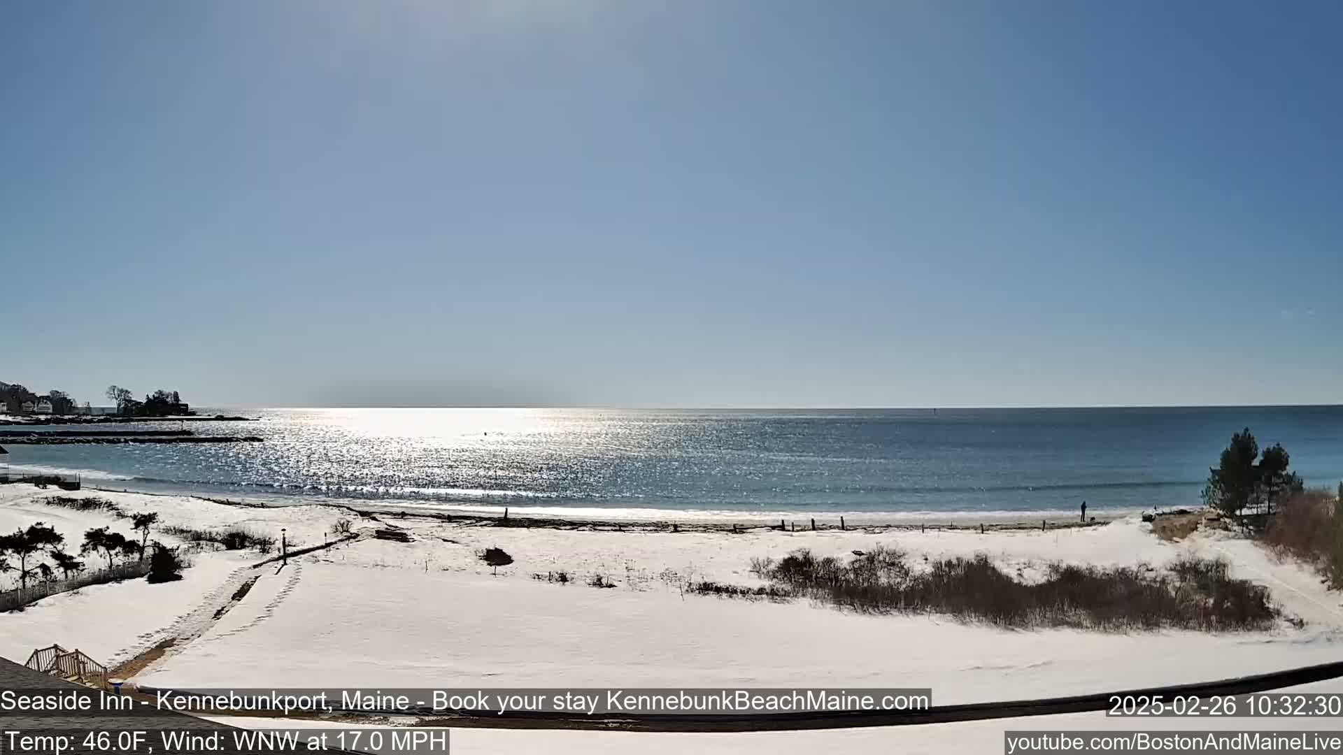 A snow-covered beach stretches along a calm, sunlit ocean under a clear blue sky.