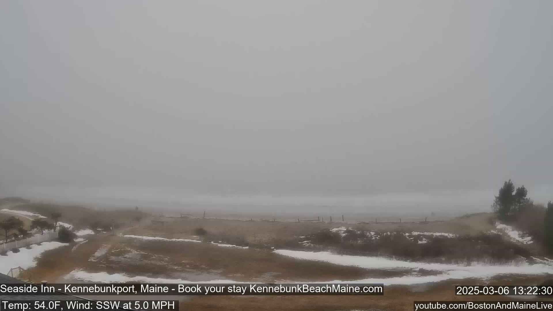 A foggy, snowy beach scene is visible from a distance, with a few small trees and patches of snow on the ground.