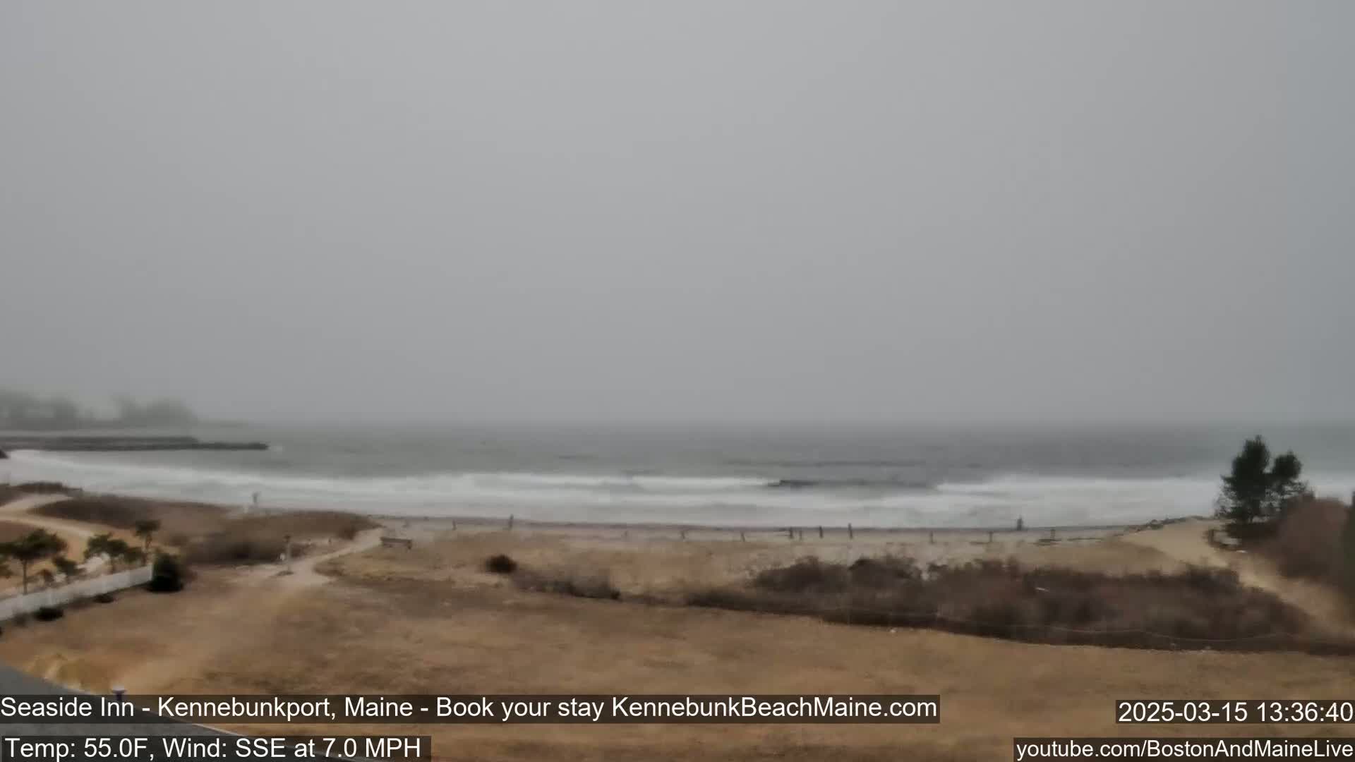 A gray, overcast day shows a beach with small waves and sparse vegetation, under a hazy sky.