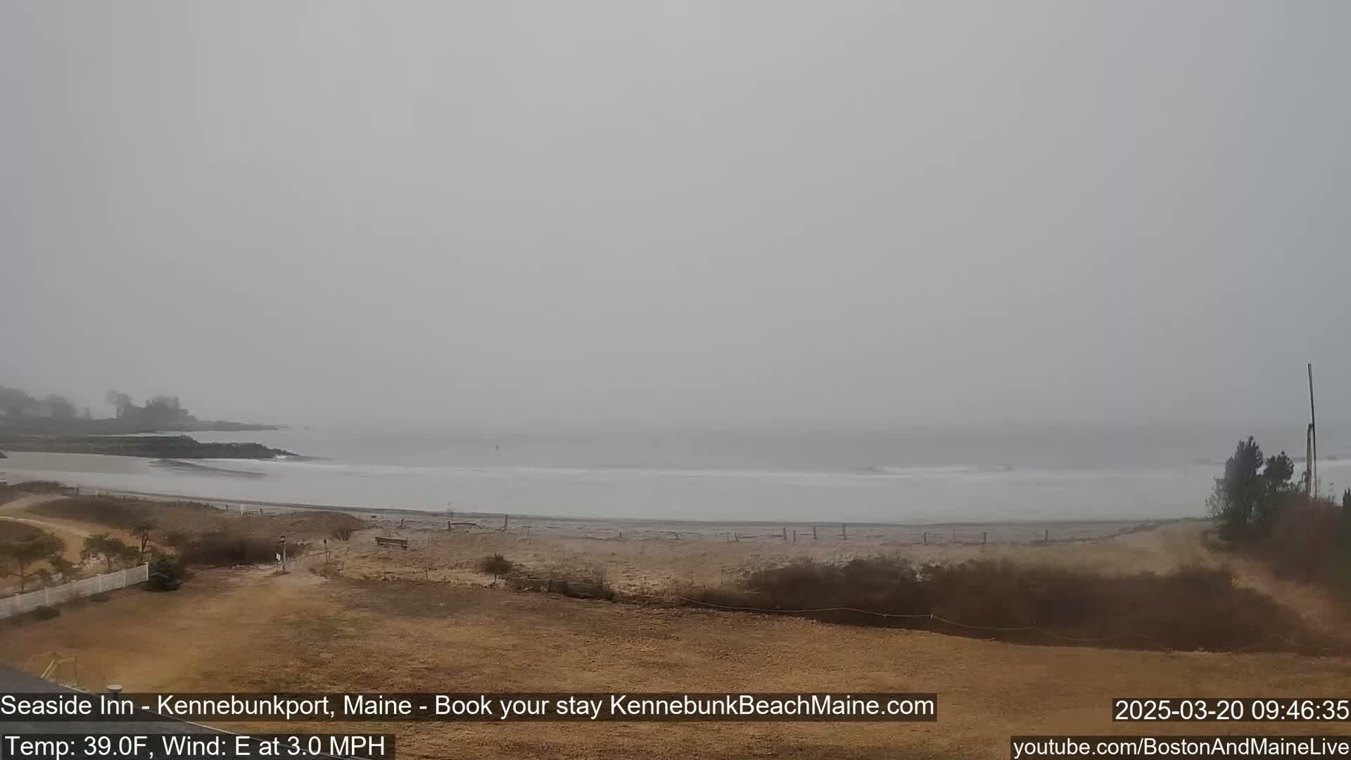 A foggy beach scene shows a calm, gray ocean meeting a sandy shore with sparse vegetation under an overcast sky.