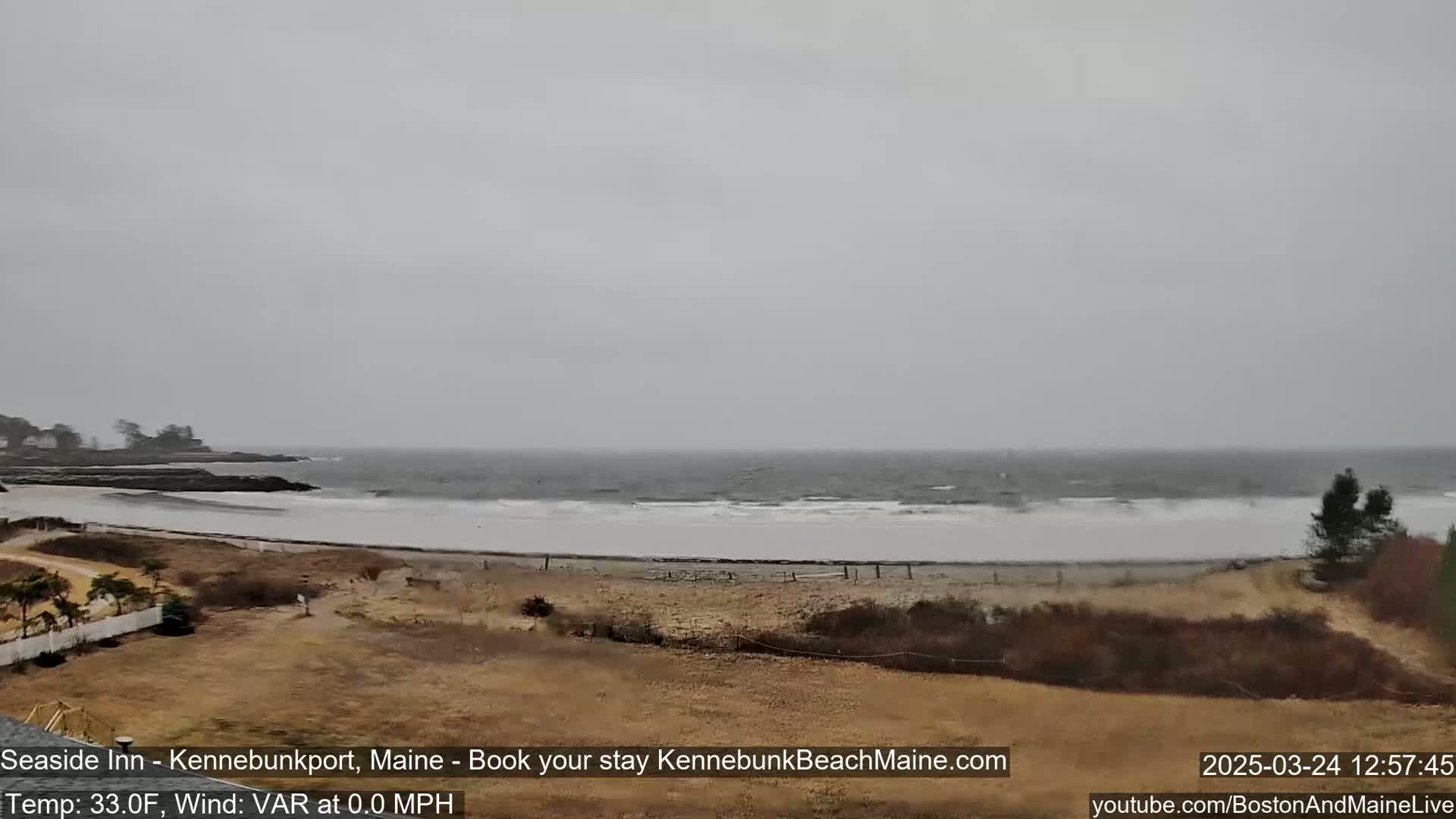 A gray, overcast day shows a view of a beach with a calm ocean, some sparse vegetation, and a rocky shoreline in the distance.