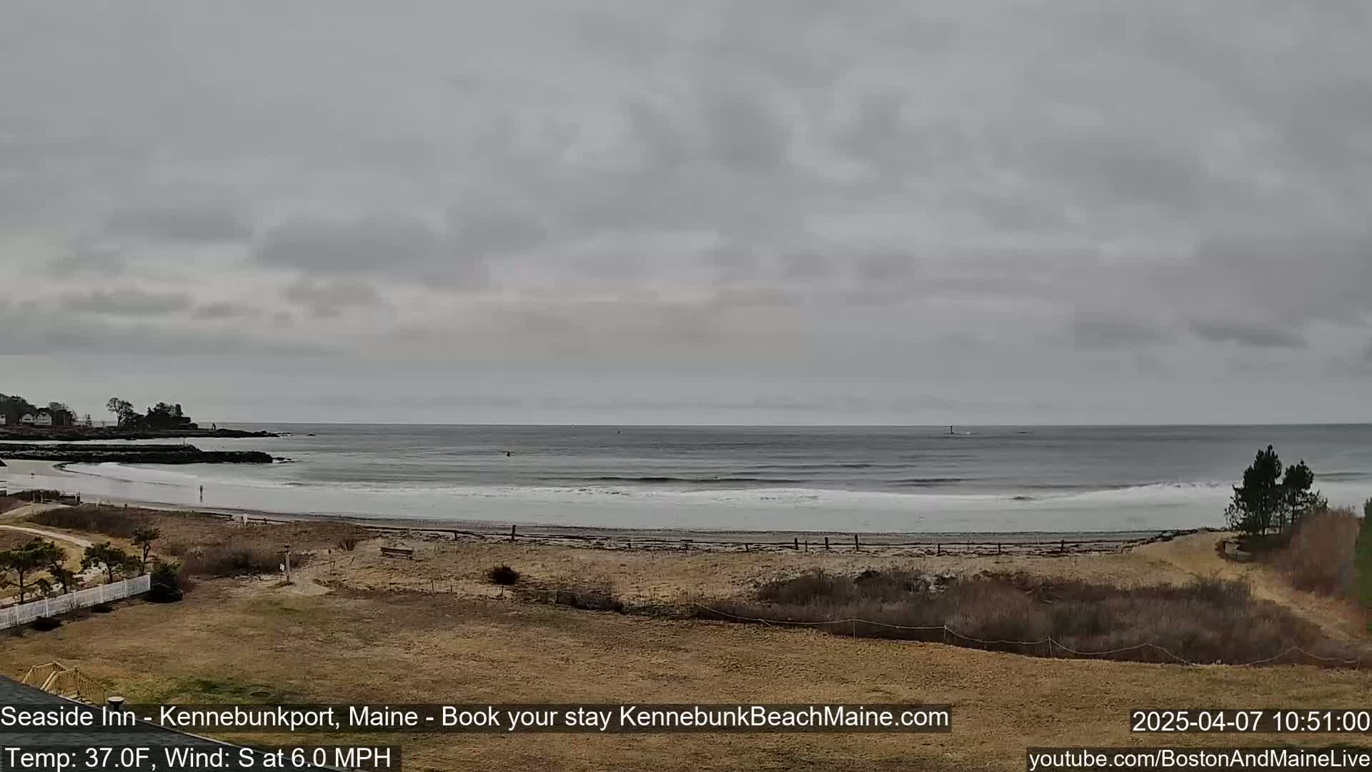 A gray, overcast day shows a sandy beach with small waves lapping the shore, a calm ocean extending to the horizon, and some vegetation in the foreground.