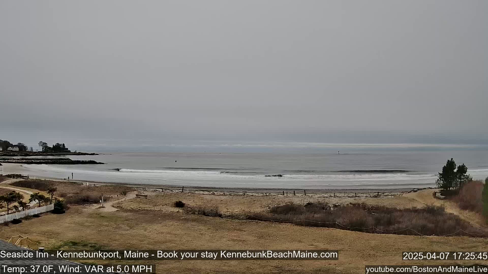 A sandy beach with small waves under an overcast sky is seen from a distance, with a small cluster of trees on the right.
