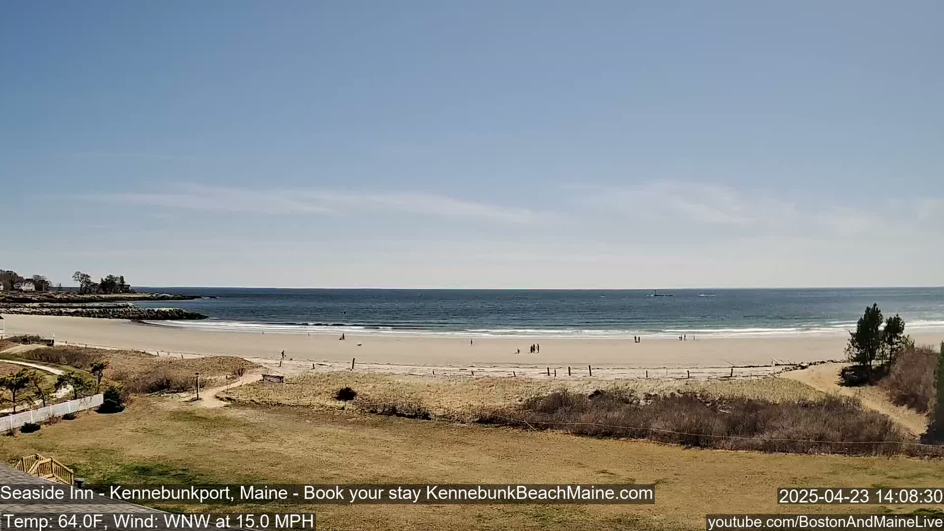 A sandy beach with a few people on it stretches out to a calm ocean under a clear blue sky.