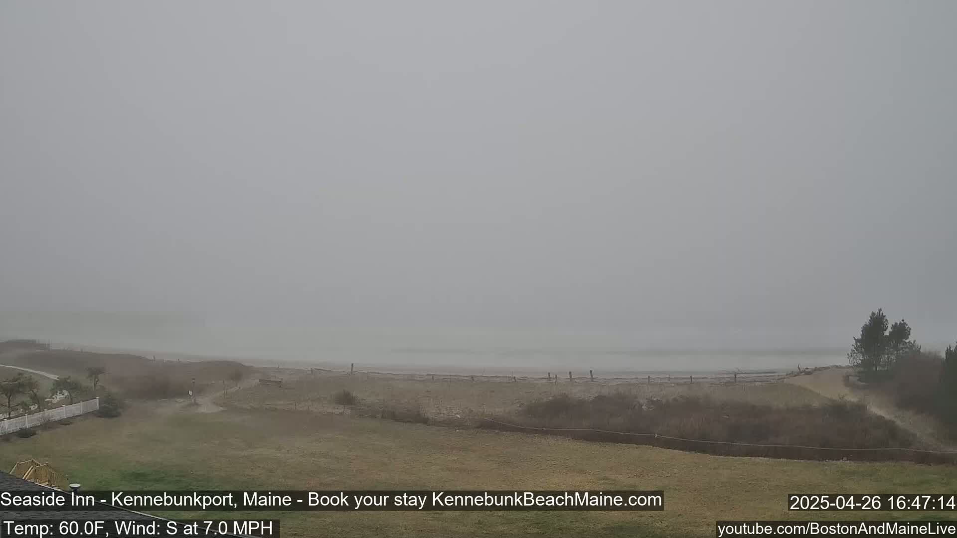 A foggy beach scene shows a sandy shoreline and grassy area with a few trees under a gray sky.