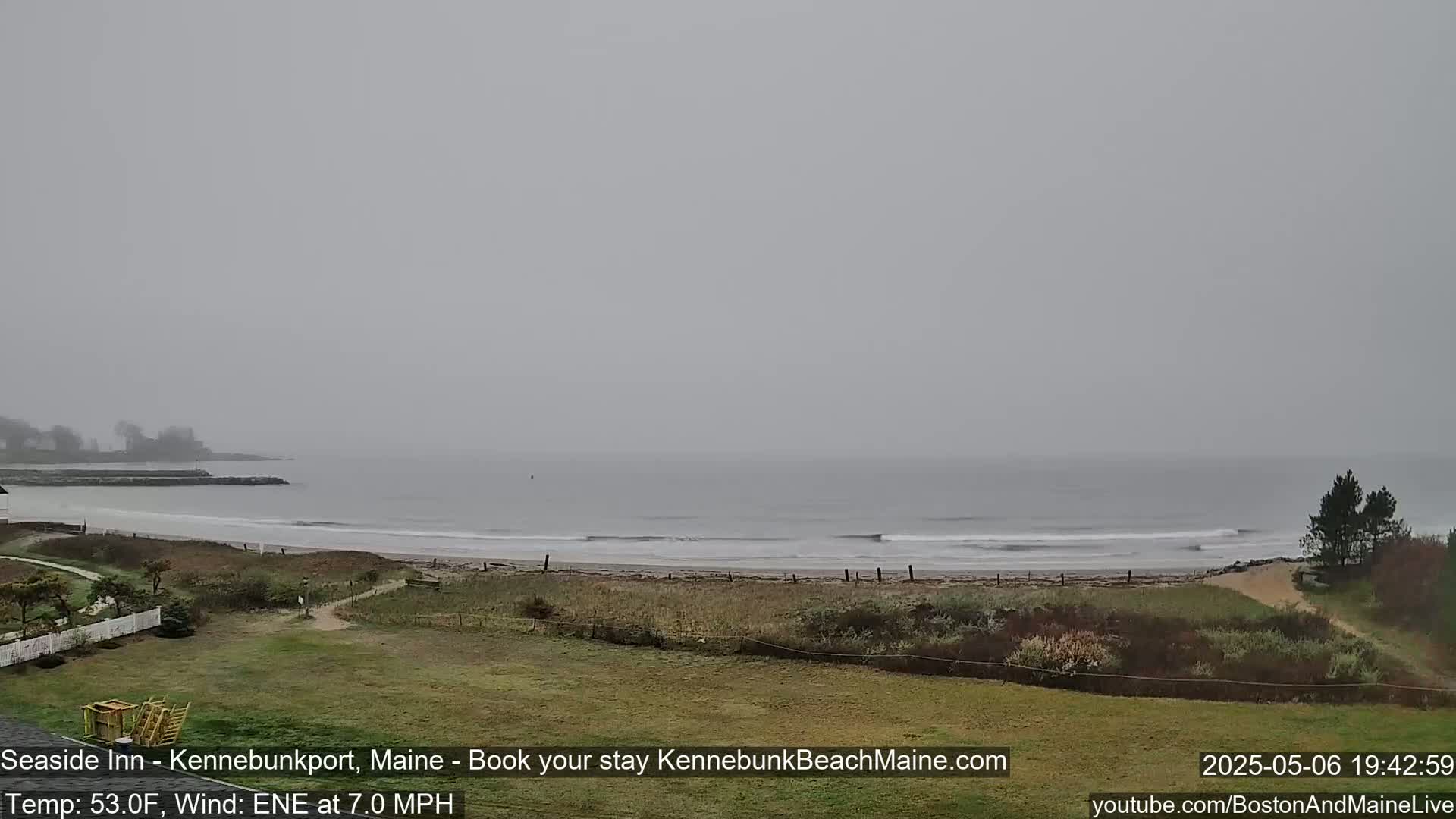A beach with a calm ocean under an overcast, gray sky is viewed from a grassy area with vegetation in the foreground.