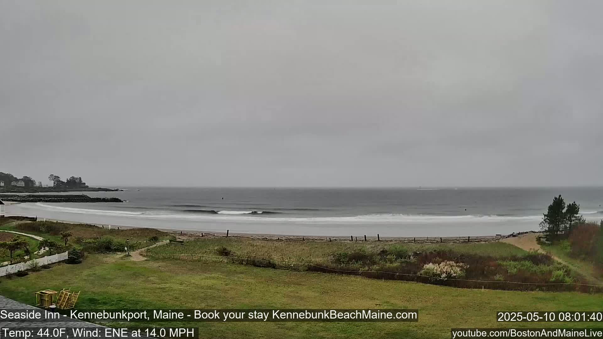 A gray, overcast day reveals a sandy beach with gentle waves lapping the shore, backed by grassy dunes and a line of trees, with a calm ocean extending to the horizon.