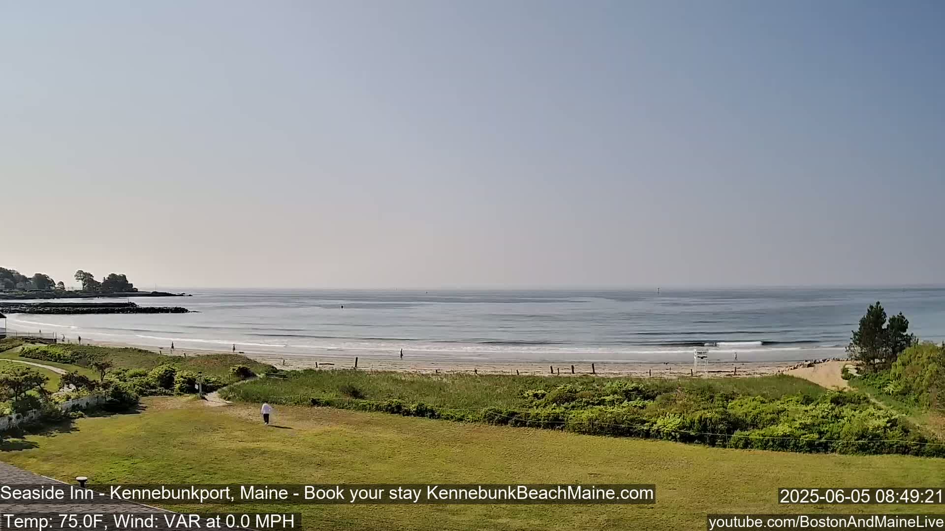 A calm ocean with small waves laps a sandy beach, viewed from a grassy area on a clear, sunny day.
