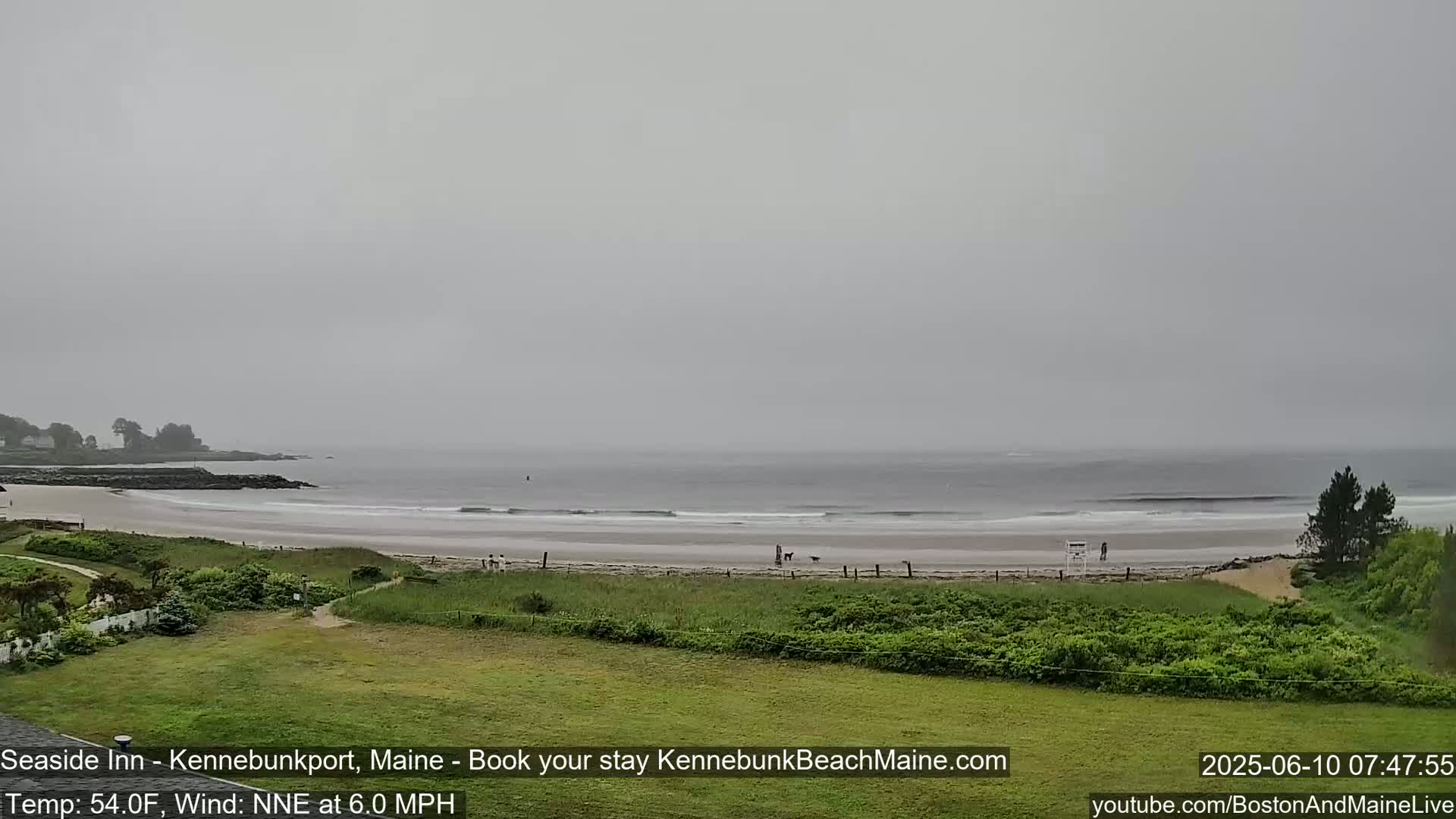 A gray, overcast day reveals a wide sandy beach with a few people and dogs, backed by green vegetation and a calm ocean.