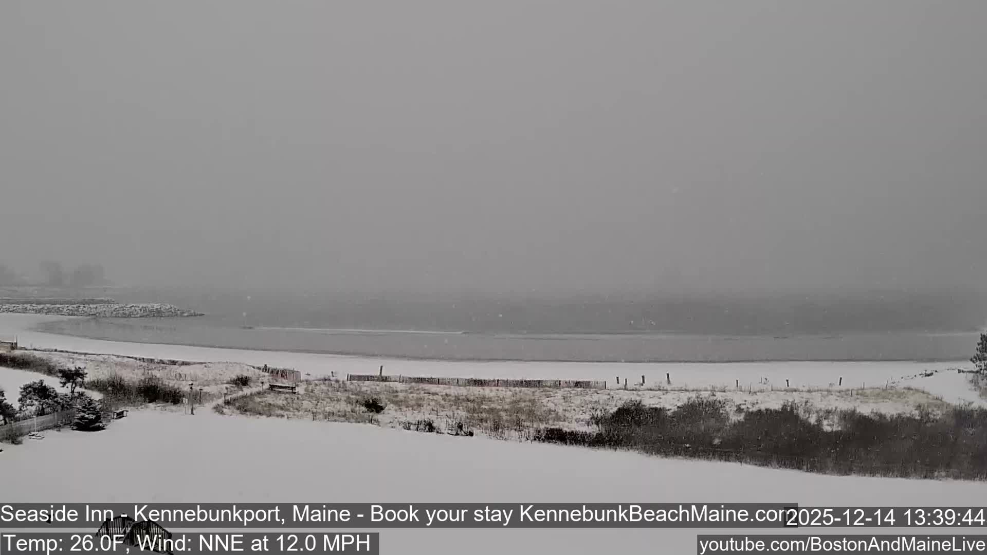 A dark winter night scene shows a snow-covered beach and ocean under a sky where snow is visibly falling, illuminated by a pathway lamp in the foreground and distant building lights.