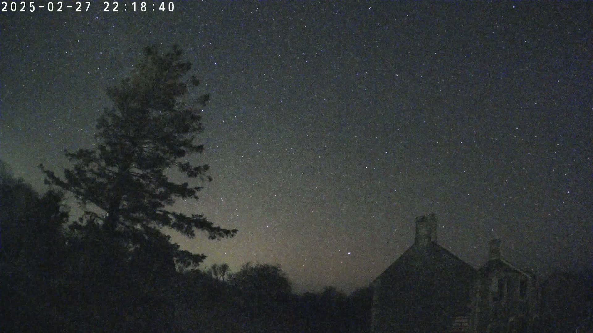 A dark, star-filled night sky is visible above a silhouetted tree and buildings.