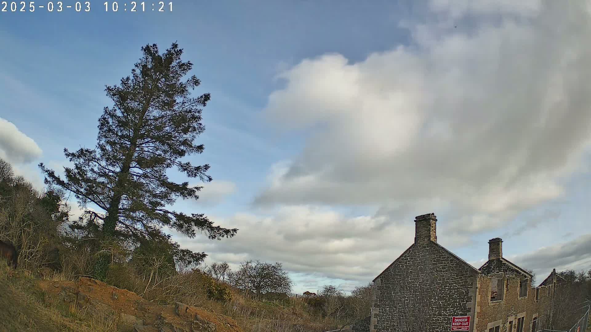 A tall evergreen tree stands to the left of a partially ruined stone building under a partly cloudy sky.