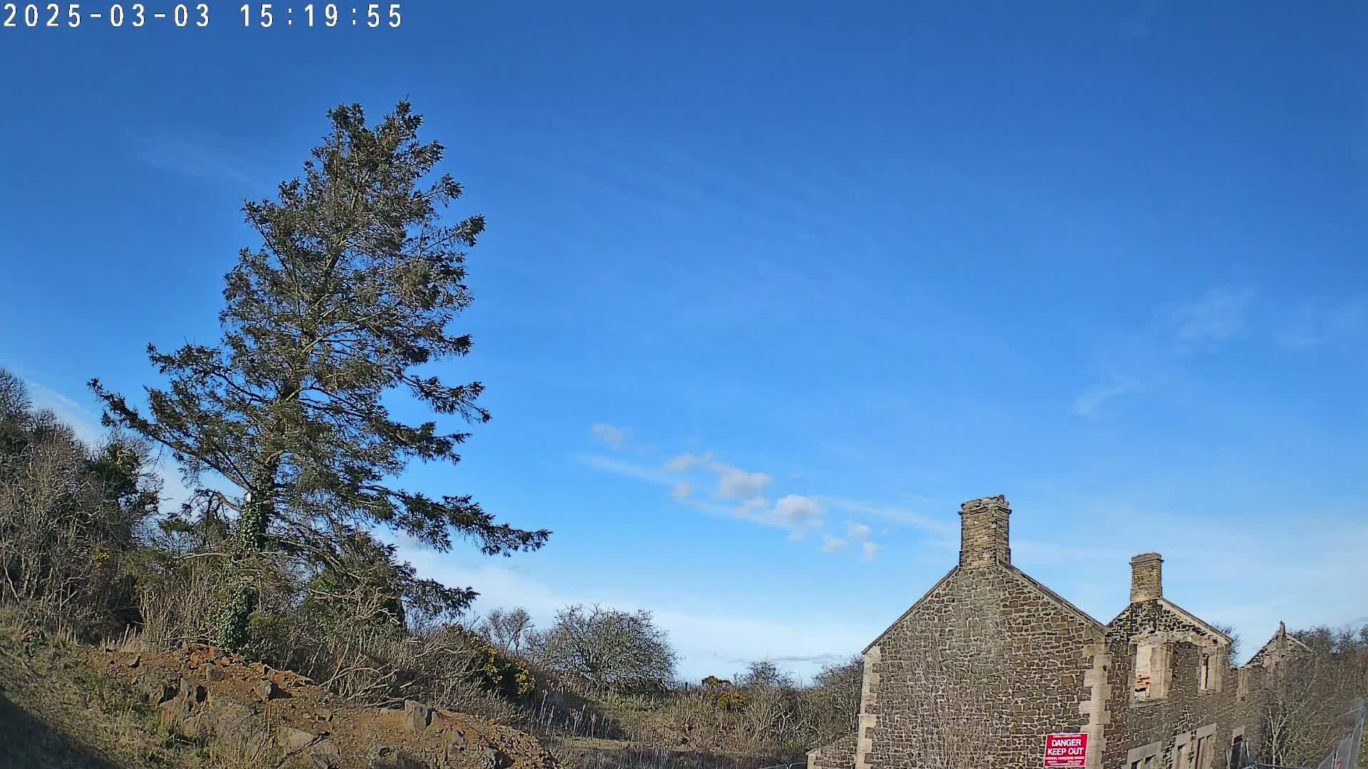 A tall evergreen tree stands to the left of a partially ruined stone building under a clear blue sky with a few wispy clouds.