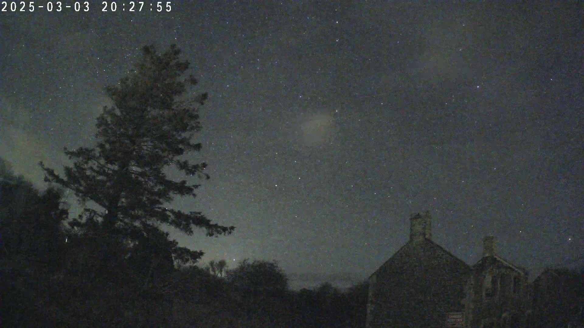 A dark, star-filled night sky is visible above a silhouetted evergreen tree and a stone building.