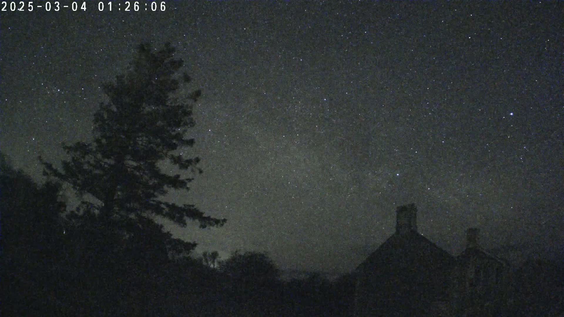 Under a clear, starlit night sky, a tall silhouetted tree stands beside a dark, low-profile building.