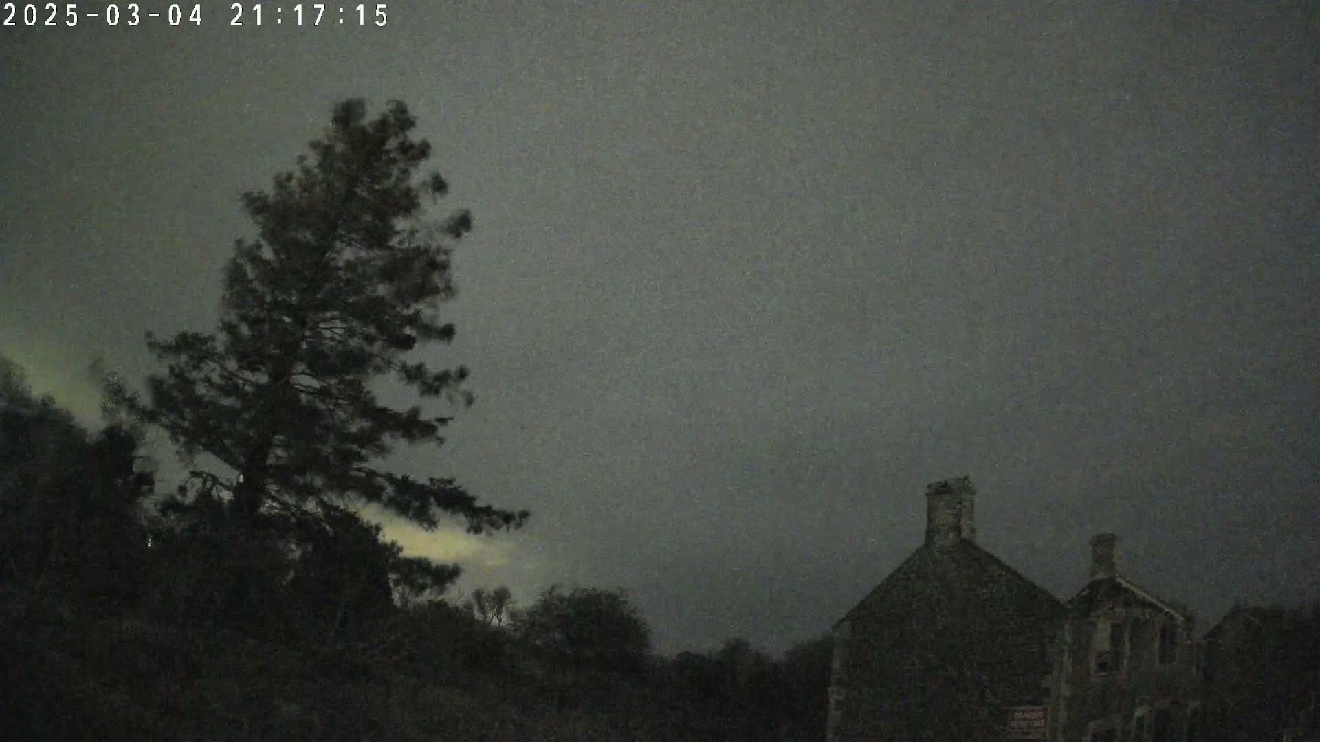 A tall, dark pine tree sways in the wind under a dark, overcast sky, near a pair of dark stone buildings.