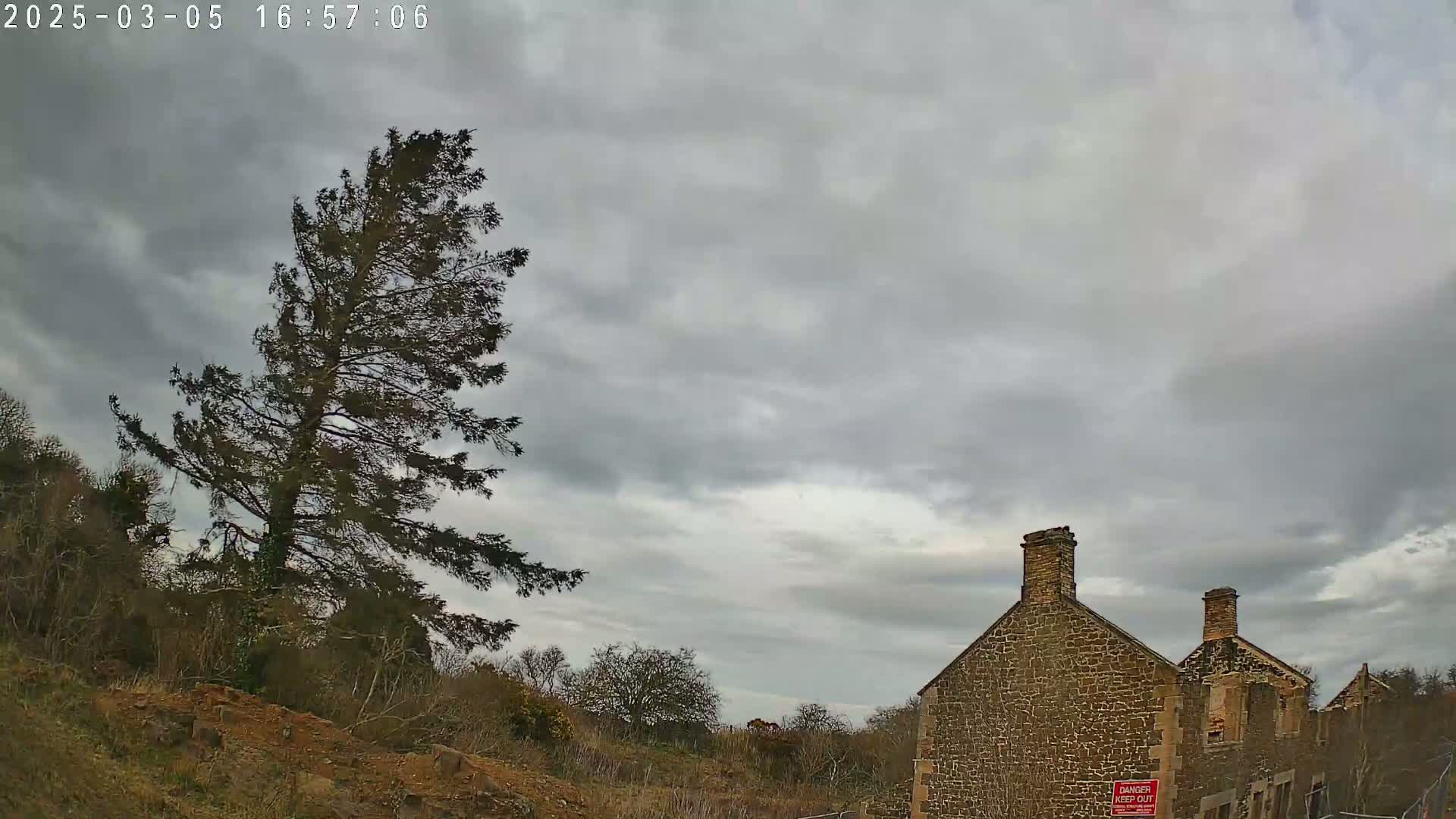 A tall, slender evergreen tree stands to the left of a partially ruined stone building under a mostly cloudy sky.