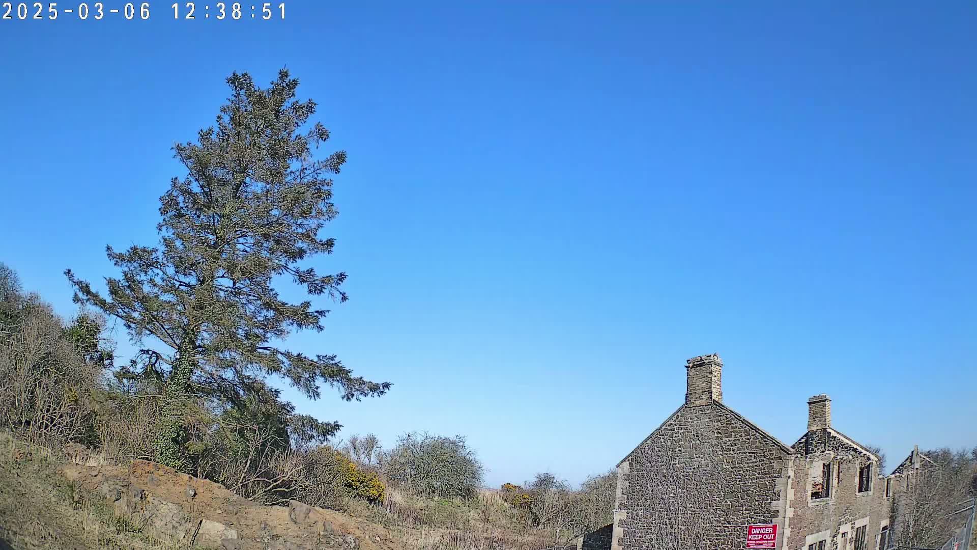 A tall evergreen tree stands to the left of a partially ruined stone building under a clear blue sky.